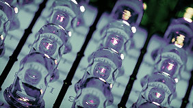 网络电话呼叫软件免费版