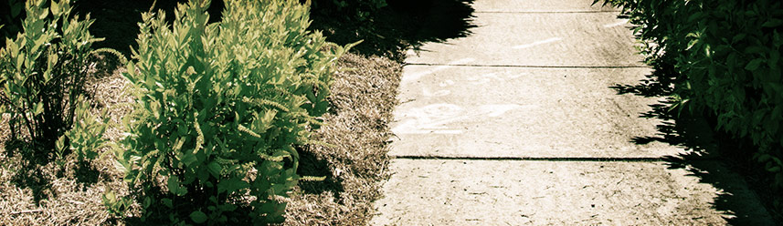 一键切换便利的无限轰炸手机软件手机号下载